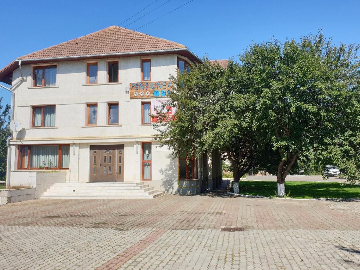 Pensiunea Odn Scheia Exterior photo